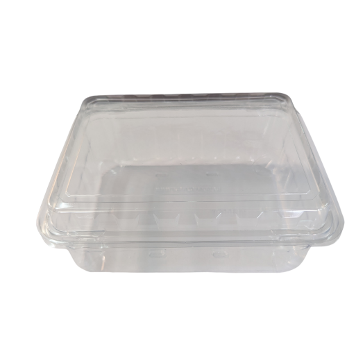 Khay đựng nho chữ nhật 1