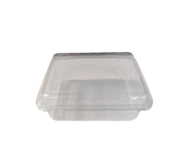 Khay đựng nho chữ nhật 1