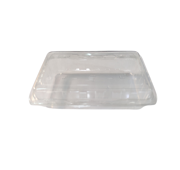 Khay đựng nho chữ nhật 2